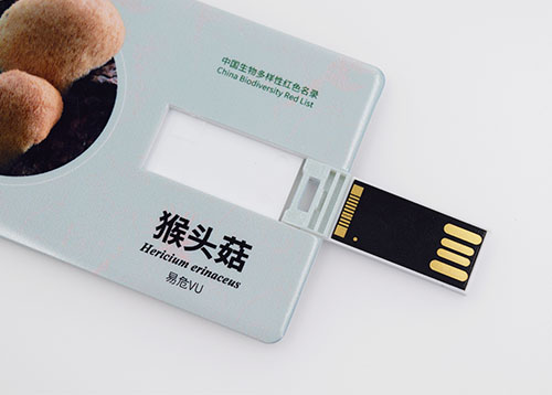 斯樂克U盤定制工廠生產(chǎn)卡片U盤，看一眼就想要